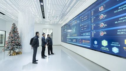 攜手共進，開創信息服務新篇章——上海市信息服務業行業協會秘書長陸雷一行蒞臨珍島集團調研